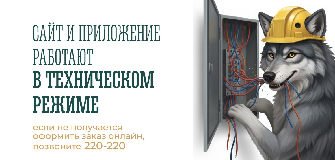 Технический режим